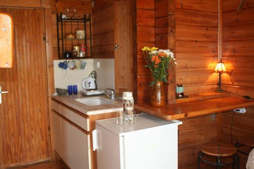 a kitchen with a sink and a vase of flowers at Ananda in Hararit