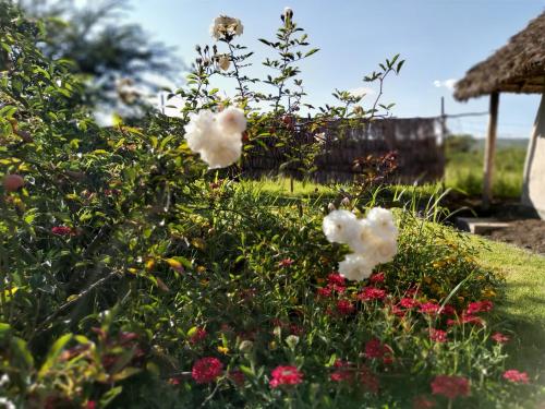 Giardino di Kutoka Lodge