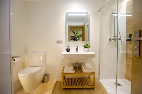 La salle de bains est pourvue de toilettes, d'un lavabo et d'une douche. dans l'établissement Suites Castellón, Castellón de la Plana