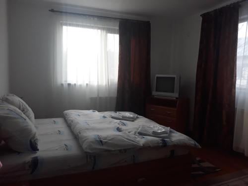 a bedroom with a bed and a television and a window at Vila Madudu in Vălenii de Munte