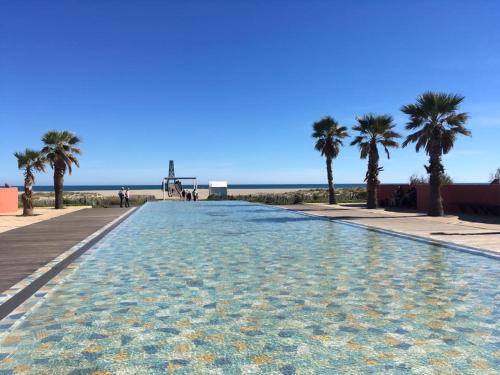 - une grande piscine à côté d'une plage bordée de palmiers dans l'établissement La Villa Michaelenanne, à Port-Leucate