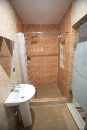 a bathroom with a sink and a shower at Amazing Grace Hostel and International Serviced Apartments in Ibadan