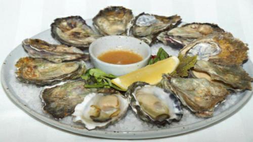 a plate of oysters on a plate with dipping sauce at Hyde Park Inn in Sydney