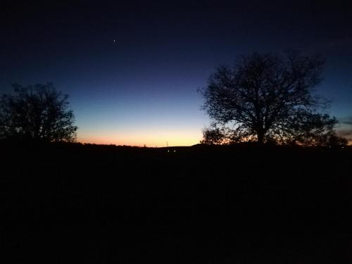 a sunset on a hill with trees in a field at Etna, salvia e rosmarino in Maletto