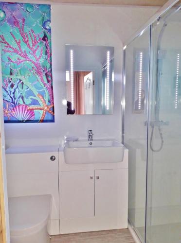 a white bathroom with a sink and a shower at Sea Moss Cabin in Tywyn