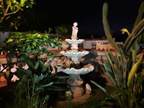 Dārzs pie naktsmītnes Villa Teresa