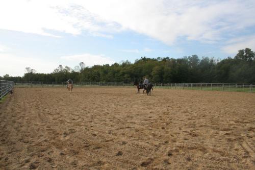 three people riding horses on a dirt field at Agriturismo Fano's Farm in Suno