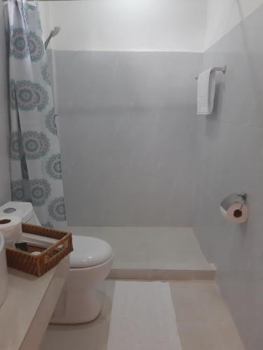 een witte badkamer met een toilet en een douche bij Chinita Boutique Hotel in Panglao