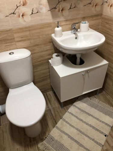 a bathroom with a white toilet and a sink at Business sky Loft in Sofia