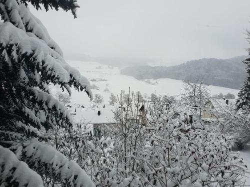 a snow covered hillside with trees and a river at Ferienwohnung Quednau in Grafenau