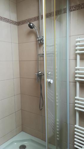 a shower with a glass door in a bathroom at MA-JA apartman in Bük