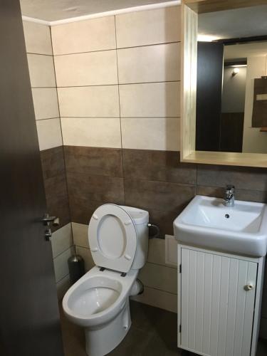 a bathroom with a toilet and a sink at Sofia Family House - Free Parking in Sofia
