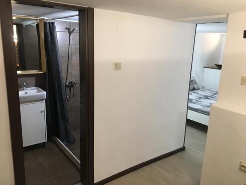 a bathroom with a shower and a toilet and a sink at Sofia Family House - Free Parking in Sofia