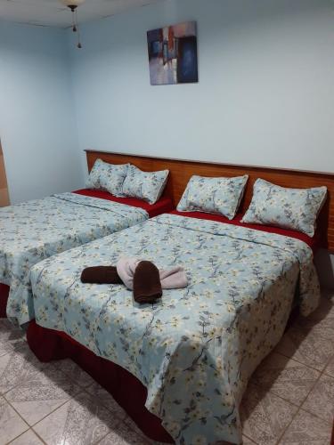 Ліжко або ліжка в номері Seaview Hideaway
