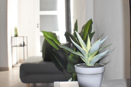 a potted plant sitting on a table in a living room at Vista sul Forte in Gavi