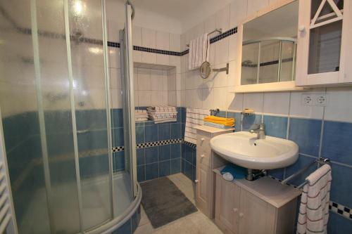 y baño azul y blanco con lavabo y ducha. en Ferienhaus Thayahof, en Waidhofen an der Thaya