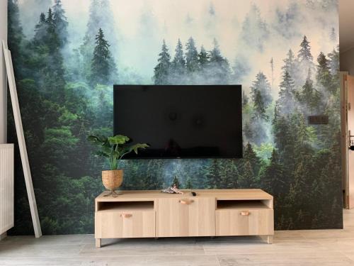 什切尔克Apartament Miedziany的墙上挂着电视的客厅