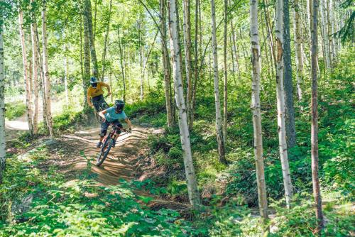 two people riding bikes on a trail in the woods at JBP Hotell in Järvsö