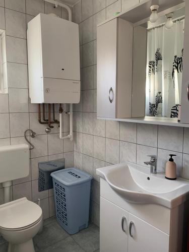 a bathroom with a sink and a toilet and a mirror at Apartman MADAPE in Sesvete