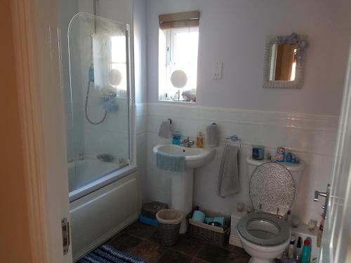 uma casa de banho com um WC, um lavatório e um chuveiro em Siobhan's abode 2 Deluxe doubles n large single NO PETS em Swindon