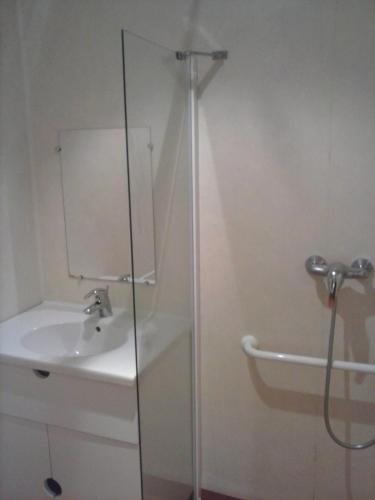 une salle de bain avec douche et lavabo dans l'établissement Les Gîtes du Val, à Valprivas