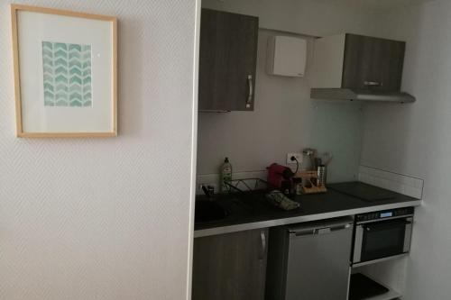 a kitchen with a sink and a counter top at Le cocon des Monts d'Or in Saint-Germain-au-Mont-dʼOr