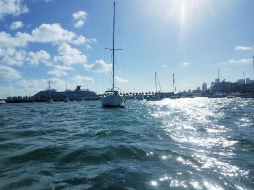 a sailboat sitting in the water in a harbor at Unique perspective in Miami