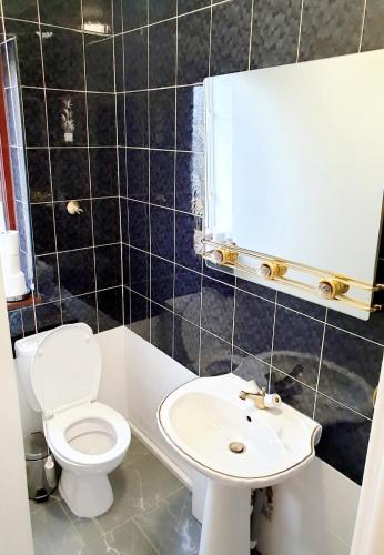 a bathroom with a white toilet and a sink at The 55 in Enfield