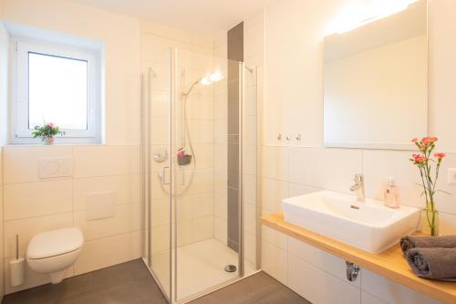 a bathroom with a shower and a sink and a toilet at Ferienhof Haas in Friedrichshafen
