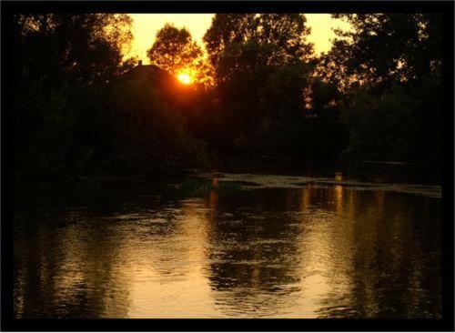 a sunset over a body of water with trees at Chata ALBA REGIA in Jahodná