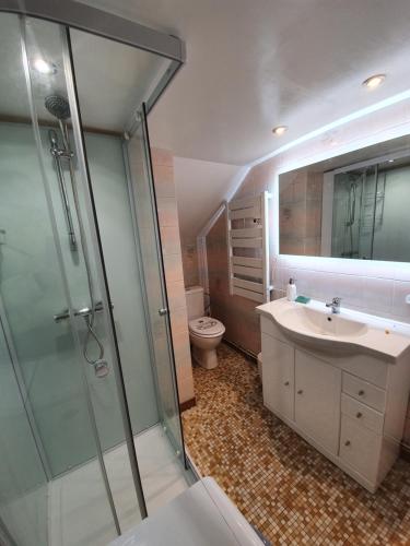 een badkamer met een douche, een wastafel en een toilet bij Gîte de Montapeine in Breteau