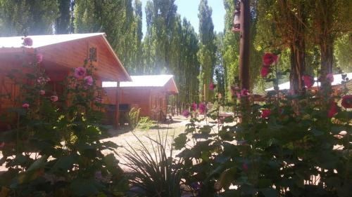 un jardín con flores frente a un edificio en Cabañas Tierra Huarpe en Uspallata