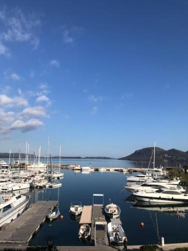eine Gruppe von Booten, die in einem Hafen angedockt sind in der Unterkunft Immeuble La Mer in Porto-Vecchio