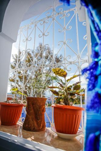 three potted plants sitting on a window sill at Dar Sidi Mfedal in Chefchaouene