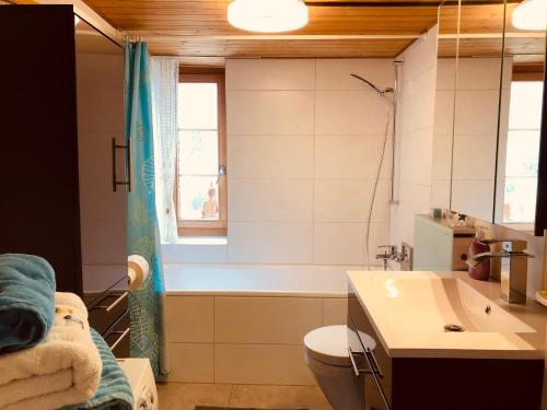 La salle de bains est pourvue d'une baignoire, de toilettes et d'un lavabo. dans l'établissement Idyllische Ferienwohnung am See, à Ermatingen