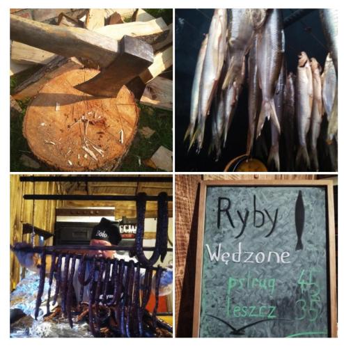 a collage of pictures of different types of fish at Przystań Tło dla Mew in Rydzewo