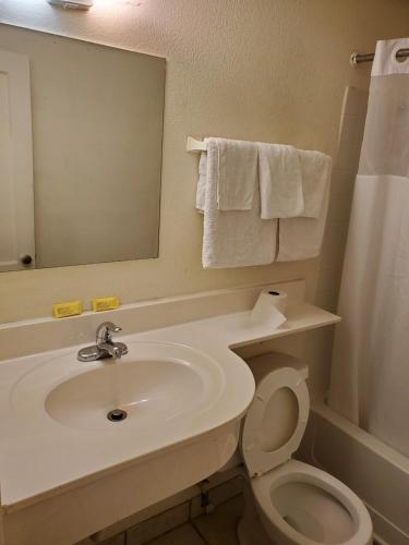 a bathroom with a sink and a toilet and a mirror at Nakon Motel in Candler