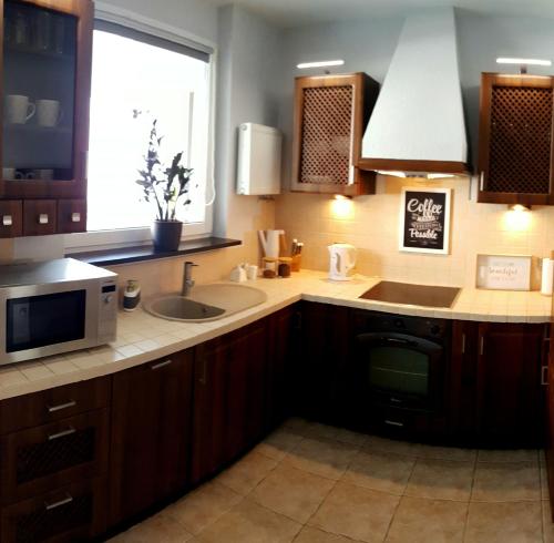 a kitchen with a sink and a microwave at Apartament NAD MALTĄ in Poznań