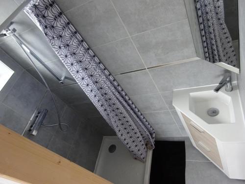 une salle de bain avec un rideau de douche et un lavabo dans l'établissement Gîte de la Roche - Grande maison bretonne, à Lannilis