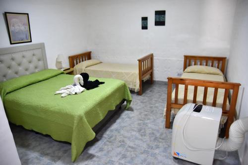 ein Schlafzimmer mit 2 Betten und einem ausgestopften Hund, der auf einem Bett liegt in der Unterkunft El Indalo in Embalse