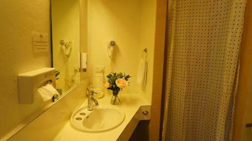 ein Bad mit einem Waschbecken und einem Spiegel in der Unterkunft Country Motor Inn in Singleton