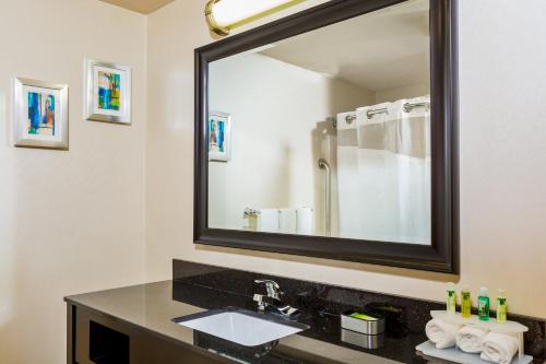 a bathroom with a sink and a mirror at Holiday Inn Express & Suites Burlington - Mount Holly by IHG in Westampton Township