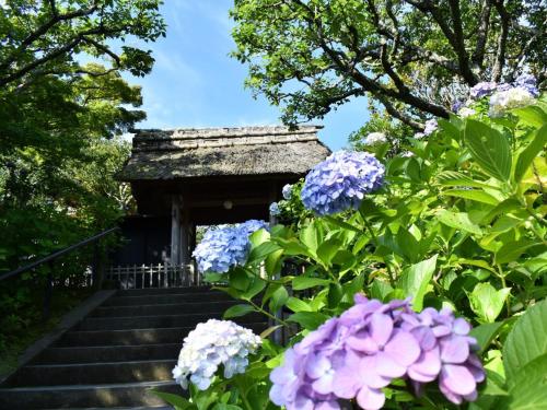 a set of stairs with purple and white flowers at Kamakura COCON in Kamakura