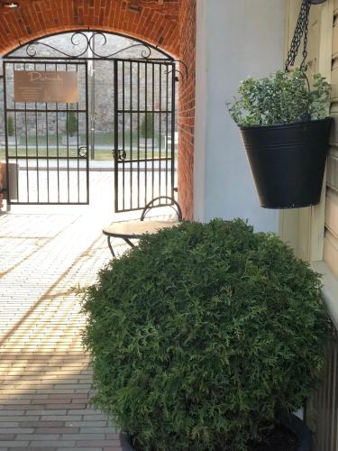 a bench and a bush in front of a gate at Hapsal Dietrich apartemendid in Haapsalu