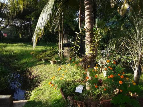 Κήπος έξω από το Asiri HomeStay