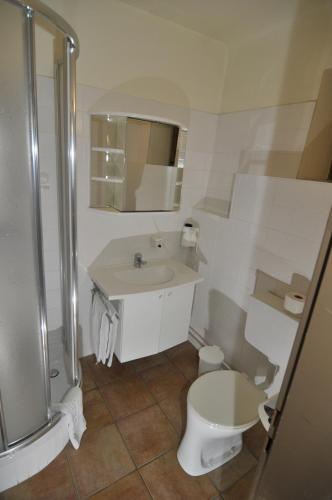 a bathroom with a toilet and a sink and a shower at Gästehaus Einzinger in Krems an der Donau