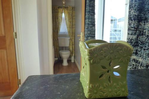 a green chair sitting on a table in a bathroom at Cosy rural self catering annex in Magherafelt