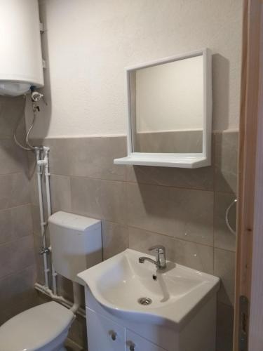 a bathroom with a sink and a toilet and a mirror at Domaćinstvo Krstajić - Rural holiday in Žabljak