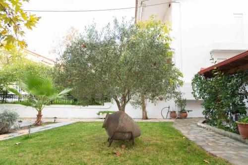 a tree in the yard of a house at Anastasia Studios Hanioti in Hanioti