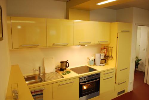 Η κουζίνα ή μικρή κουζίνα στο Sun Matrei Apartments